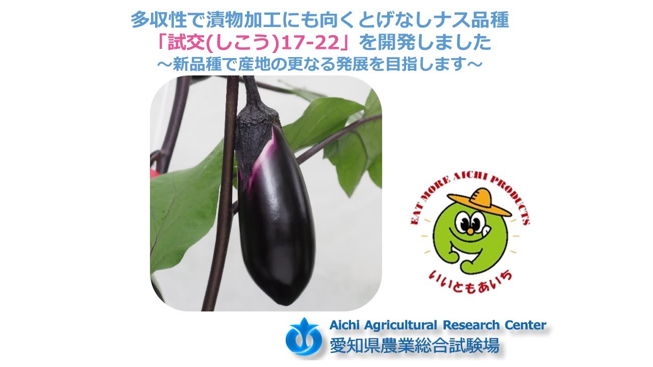 記者発表 とげなしナス品種「試交17-22」 - YouTube