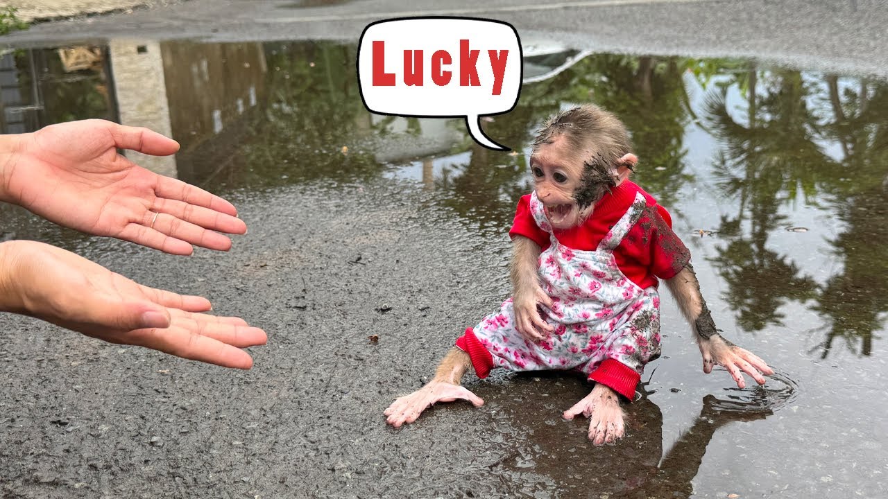 What Happened To Sunny? Is Lucky The Culprit?