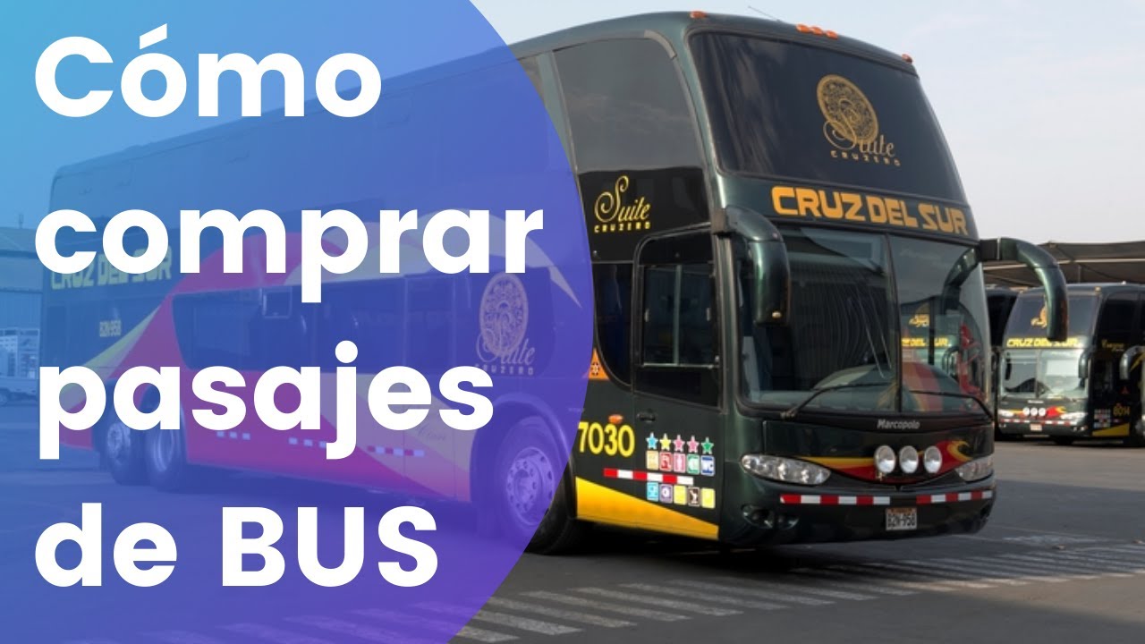 9. Compara precios y servicios de Cruz del Sur con otras compañías de buses.