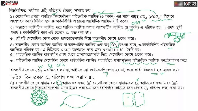 ukraina askarini siking