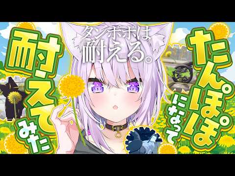 たんぽぽおかゆです🌼
