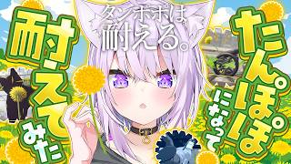 たんぽぽおかゆです🌼