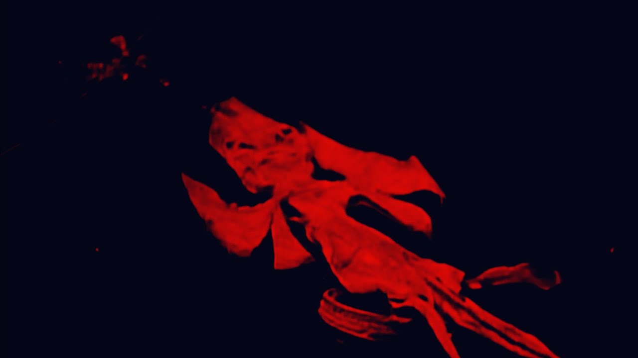 ' UNSHEATHED ' Ritualistic Male Enhancement