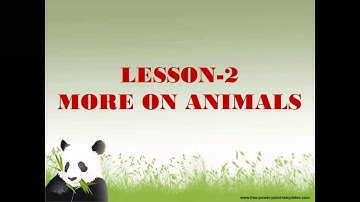 Class II E.V.S. Lesson-2 More On Animals