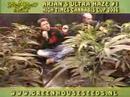 Green House Amsterdam High Times Cannabis Cup Crop 2006