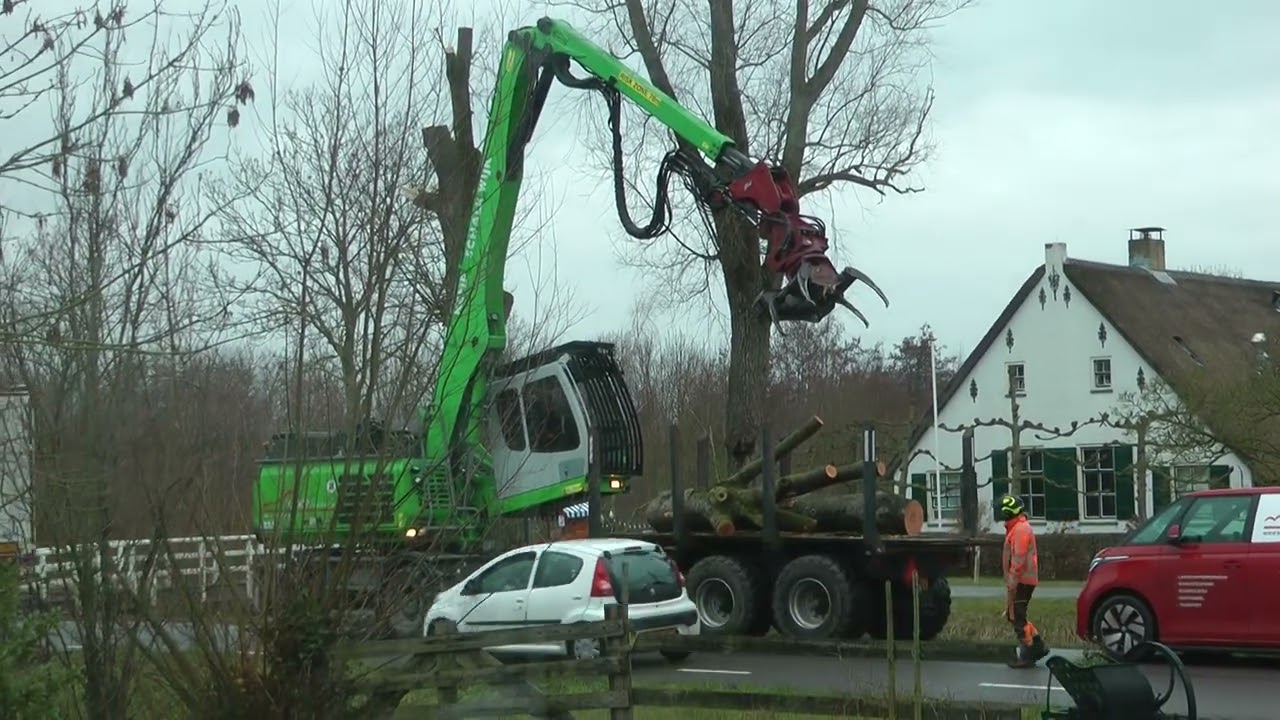 KEMP uit Schalkwijk haalt boom weg. Vr-20-2-2026