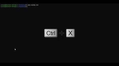 Editor de texto en la terminal con NANO y VIM | Cesar1e