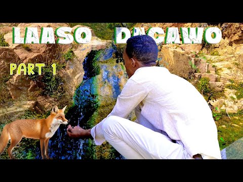 Maxaad Ka Taqaan Laaso Dacawo Q 1aad