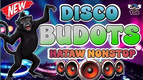 BUDOTS DISCO HATAW NONSTOP | BUDOTS MIX NONSTOP 2025 COMPILATION