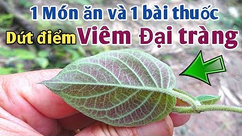 Bài thuốc trị Viêm Đại tràng rất hiệu quả. PHAN HẢI Channel