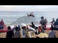 Kéo lưới và bắt được rất nhiều cá bè lớn ở NinhChu -Pulled the net and caught a lot of big raft fish