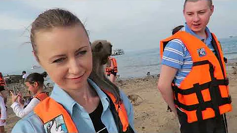 Vlog: Меня покусала обезьяна. Остров диких обезьян. Таиланд, Паттайя