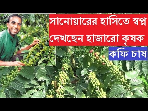 ভিডিও: আরবিকা কফি অন্যান্য জাত থেকে কীভাবে আলাদা?