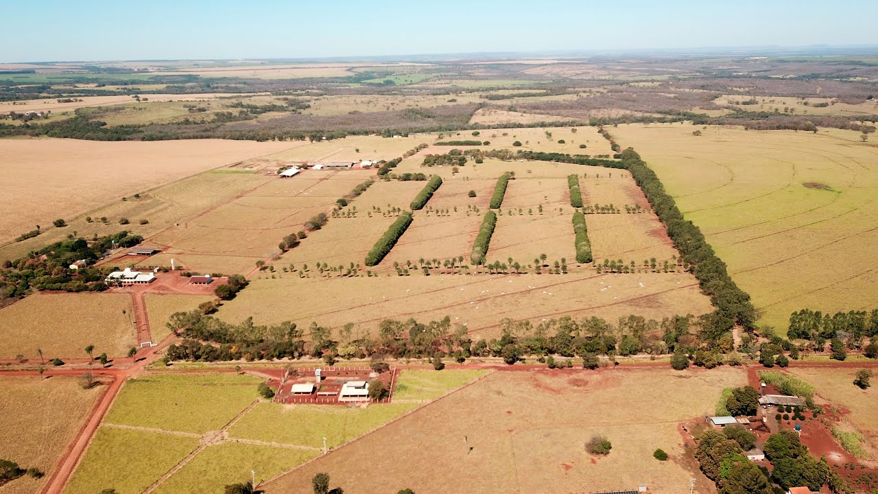 Fazenda a venda dupla aptidão (em pecuária)  de 245 haem Terenos/MS apenas 30 min de Campo Grande