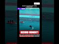 India Sets Guinness Record With Largest Underwater National Flag in Andaman