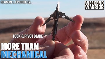 Key Advantages of SEVR Mechanical Broadheads