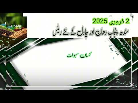 غلّہ منڈیوں کے تازہ ترین ریٹ: چاول اور دھان کے ریٹس l گندم اور تل ریٹ!2 فروری 2025 غلّہ منڈیوں کے تازہ ترین ریٹ: چاول اور دھان کے ریٹس l گندم اور تل ریٹ!2 فروری 2025