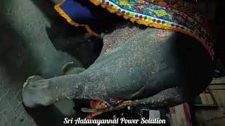 Madurai sri aalavayannal (meenakshi sundereswarar temple) Aavani Mulam Thiruvizha tenth day