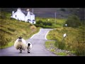 Capture de la vidéo Peaceful Celtic Relaxing Instrumental Music, Meditation Music In 4K "Celtic Country" By Tim Janis