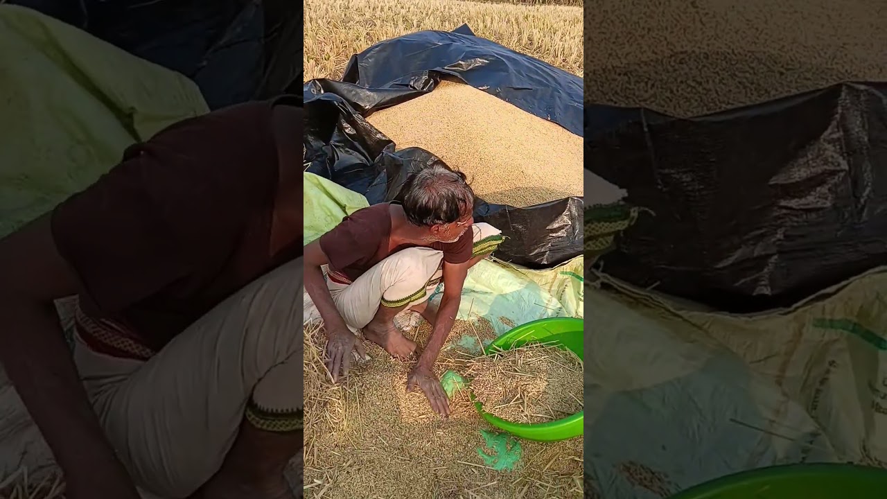 family ke sath Kisani karte h ui 