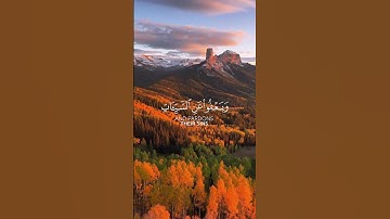 وهو الذي يقبل التوبة عن عباده 💕 من سورة الشورى للقارئ إسلام صبحي #اسلام_صبحي #quran #قرآن #تلاوات