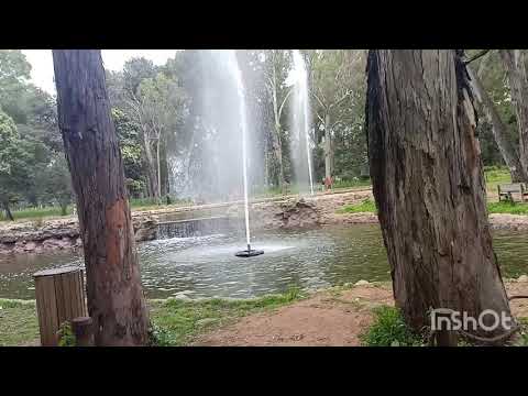 قلبي على بابك سجد ماهر زين قلبي سجد