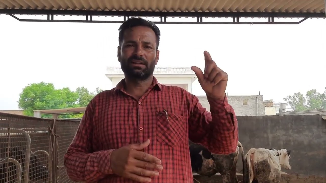 ਚਿੱਚੜਾ ਦਾ ਖਾਤਮਾ ਕਿਸ ਤਰਾ ਕਰੀਏ