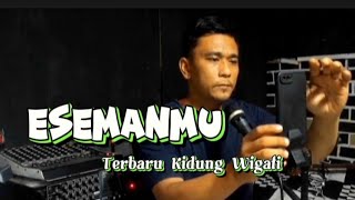 ESEMANMU // Wahyuri Ndeso // Sekedar Hiburan Lur//Kidung Wigati
