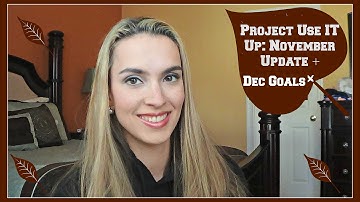 Project Use It Up: November Update + December Goals (Project Pan)
