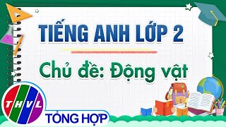 Dạy học trên truyền hình: Tiếng Anh lớp 2 - Chủ đề: Động vật