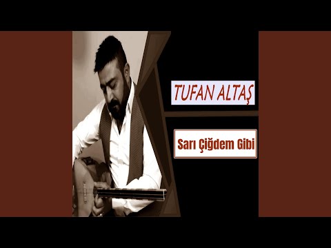 Sarı Çiğdem Gibi