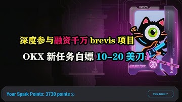 深度参与融资千万brevis项目，OKX新任务白嫖10-20美刀-为什么现在区块链撸羊毛越难越难了 #空投 #币圈 #区块链 #薅羊毛  #brevis