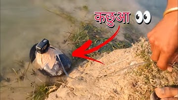 कछुए के ऊपर कैमरा 😲👀#mukeshbirant #shorts #short #viral #viralvideo #turtle #turtles