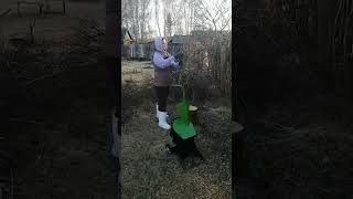 Измельчаем отходы на садовом измельчителе «Жнец ИТ300» от СтанкоЛес