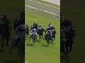 Flora Of Bermuda blossoms again in the William Hill Summer Stakes at York 🇧🇲
