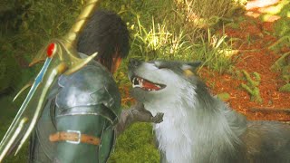 The first thing every single person did in Final Fantasy 16
