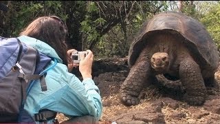 Explore The World Sweepstakes Galapagos  Jeopardy