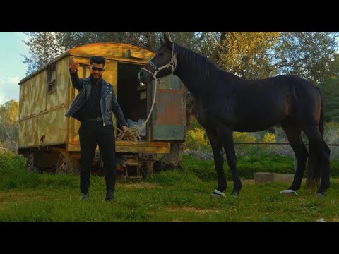 WEISA GRAZIE ويسا شكرا Officiel Music Video 4K