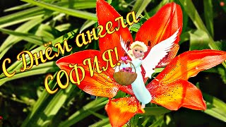 С Днем Ангела София! Красивое Поздравление Для Софии, Сони, Сонечки!