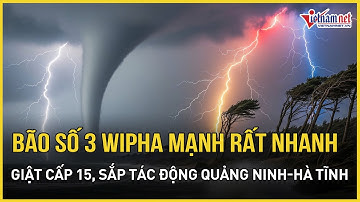 Bão số 3 Wipha mạnh lên rất nhanh giật cấp 15, sắp tác động Quảng Ninh đến Hà Tĩnh  | Báo VietNamNet