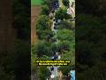 नांगल चौधरी: अभय सिंह यादव का काफिला कावी से भगवाड़ी तक | Drone Video |#VivekMedia