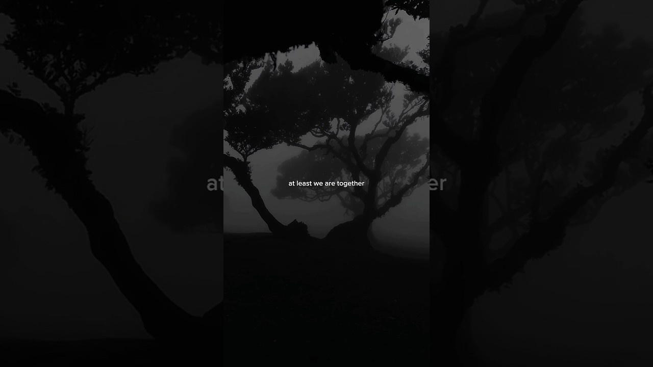 Alan Walker - Alone (Lyrics) | If this night is not forever, at least we are together #alanwalker
