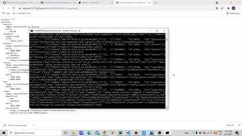 ZMQ Processor (RControlNet)