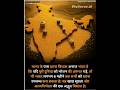 भारत के अनाज भंडार की सच्चाई 😳 | क्या सच में 6 महीने दुनिया को खिला सकता है? #education #knowledge