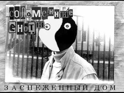 Соломенные Еноты — Ненормированный рабочий день
