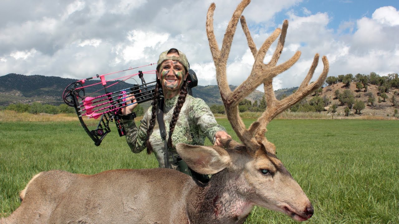 Best mule deer hunting in colorado