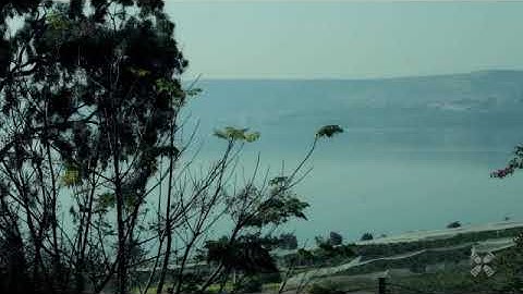 VIDEO INTRO PREDICACION