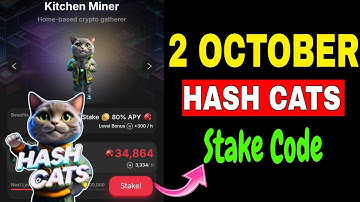 Hash Cats Stake Code Today | 1 October Hash Cats Stake Code | Hash Cats Stake Password