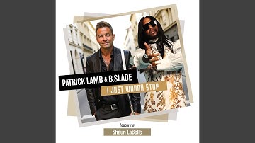 I Just Wanna Stop (feat. Shaun LaBelle)