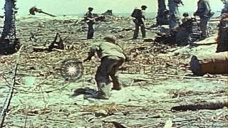 Battlefield scenes of US Marines combating Japanese forces on Eniwetok Island dur...HD Stock Footage